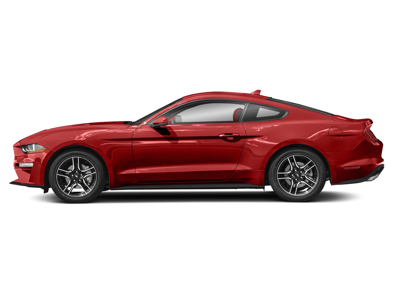 2023 Ford Mustang EcoBoost Premium photo 3